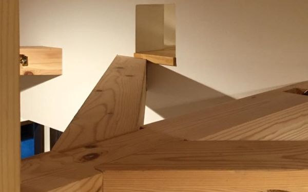 ハルト工務店の注文住宅「猫好きにはたまらないキャットウォークのある家」